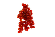 Rote Johannisbeeren