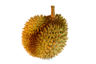 Durian